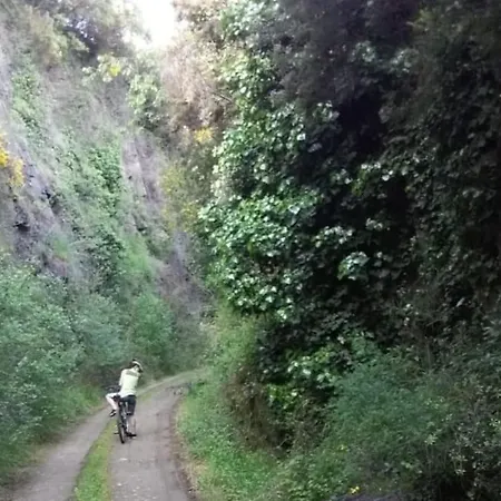 Casa de Férias Casa Padre Manuel Do Couto Vila Pouca de Aguiar