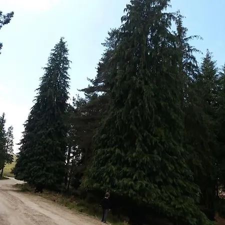 Casa de Férias Casa Padre Manuel Do Couto *