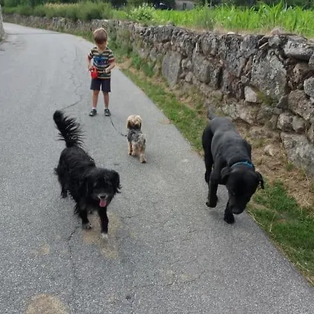 Casa Padre Manuel Do Couto 阿吉亚尔小镇