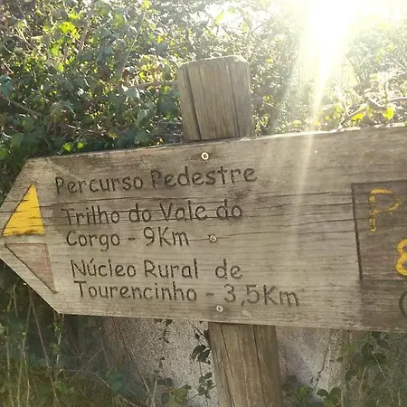 Casa Padre Manuel Do Couto Vila Pouca de Aguiar