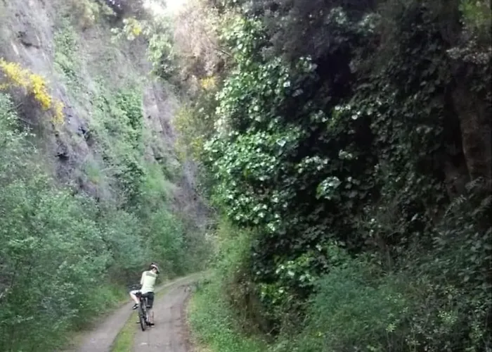 Semesterbostad Casa Padre Manuel Do Couto Vila Pouca de Aguiar