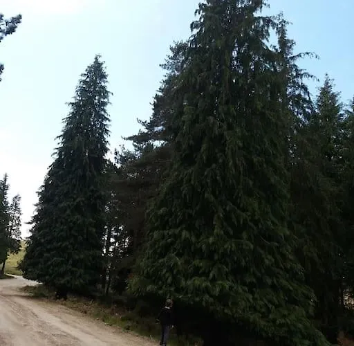 Semesterbostad Casa Padre Manuel Do Couto *