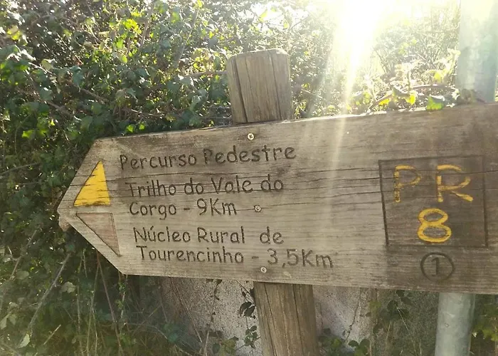 Casa Padre Manuel Do Couto Vila Pouca de Aguiar